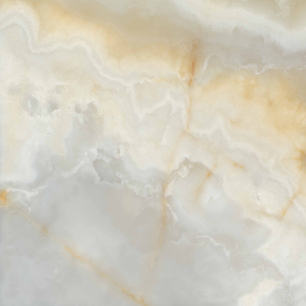 Selva Onyx